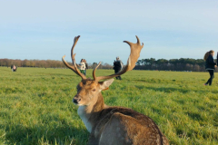 1000003763_optimized-scaled