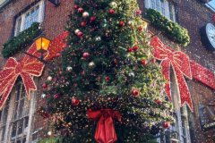 img20260105124235_optimized-scaled