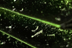 2_marek_Sulc_optimized-scaled