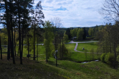 img-20250425-wa0013_optimized