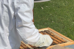 img-20260424-wa0069_optimized