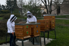 img-20260424-wa0073_optimized