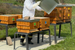 img-20260424-wa0074_optimized