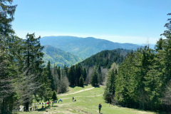 img20230508141033_optimized