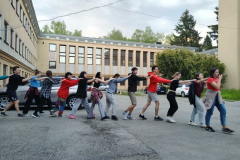 img20230511194946_optimized