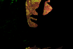 Matous_red
