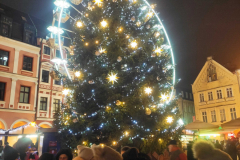 1765965888153_optimized-scaled